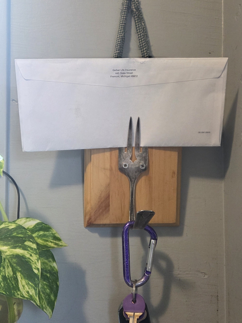 Rustic/Country Wall Hanging Hook For Keys And Mail